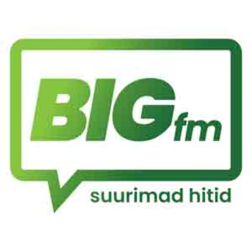 Big FM logo